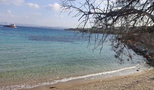Çeşme’nin hem ücretsiz hem de Mavi Bayraklı plajı! Ulaşımı da çok kolay: İnce kumlu sahili ve sığ deniziyle büyülüyor