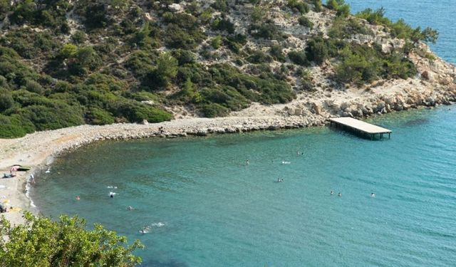 Giriş ücretsiz, kamp bedava! Hem termal hem deniz keyfi bir arada: Dikili'de gizli kalmış doğa harikası