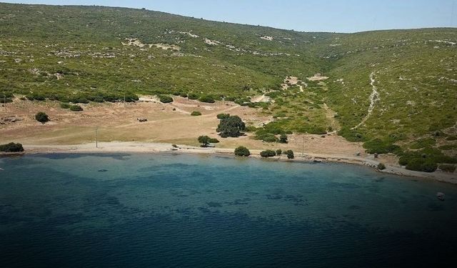 Gürültüden kaçmak isteyenler buraya akın ediyor! İzmirlilerin yeni gözdesi: Cam gibi denizi büyülüyor