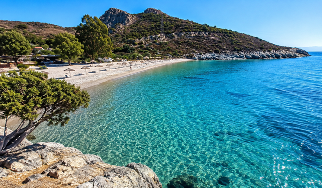 Ne Çeşme ne Alaçatı! Foça'nın bu saklı plajı denizi ve kamp keyfiyle yazın uygun fiyatlı gözde adresi oldu