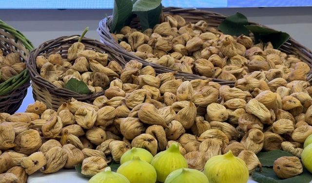Üreticilerin beklediği haber geldi! Kuru incirin kilo fiyatı belli oldu