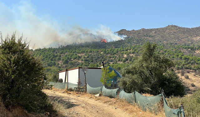 Ödemiş’te orman yangını! Ekipler müdahale ediyor