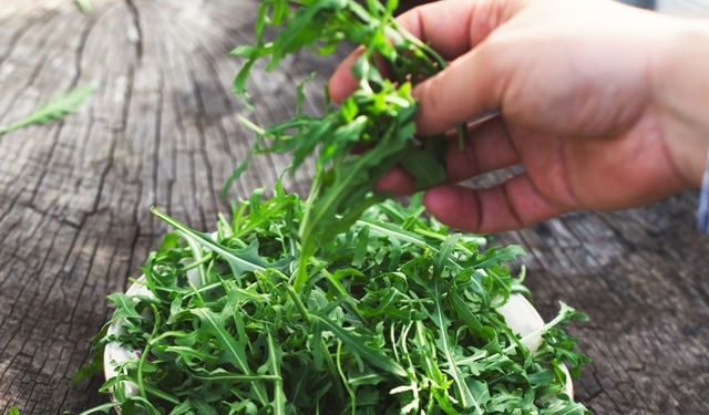 Pazardan ve marketten seçerken mutlaka sapına bakın! Roka nasıl seçilir? İşte roka hakkında bilinmeyen detaylar