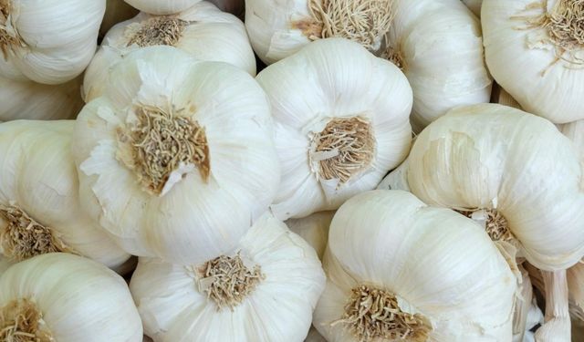 Herkes bir şekilde saklıyor ama doğrusunu bilmiyor! Sarımsak nasıl saklanmalı? Uzun süre taze kalmasının sırrı buymuş