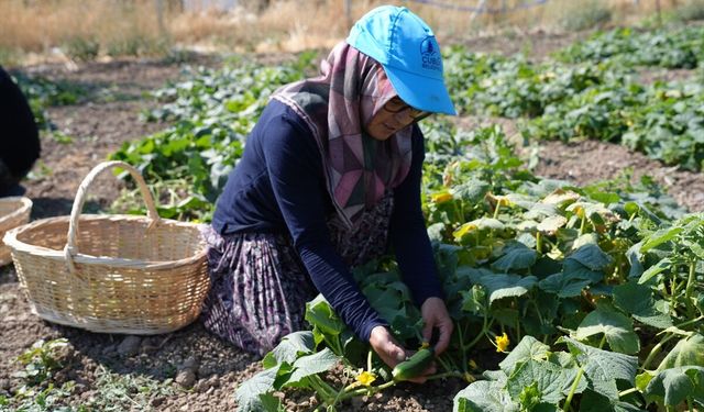 Türkiye'nin "yeşil altını" 45 çeşitle 15 ülkenin sofrasına giriyor! Hedef dünya markası olmak