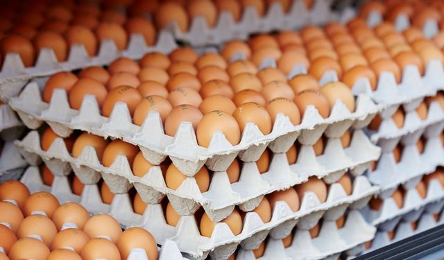 Mutfaktaki o hatayı herkes yapıyor! Yumurtayı saklarken yapılan büyük yanlış: Neden asla buzdolabı kapağına koymamalısın