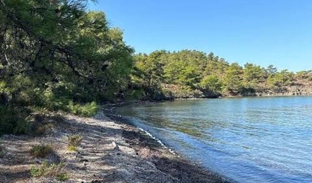 Urla’da herkesin ulaşamadığı koy! İzmir’in el değmemiş koyu: Ücretsiz fakat hazırlıksız gidilmiyor