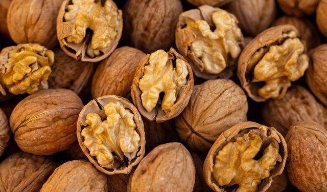 Her  gün bir avuç tüketmek yetiyor! Cevizin faydaları saymakla bitmiyor