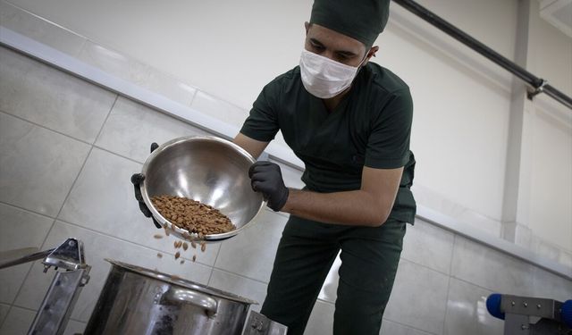 Tescilli glütensiz bisküvi ürettiler! Kayısı çekirdeği bu kez bisküvi oldu