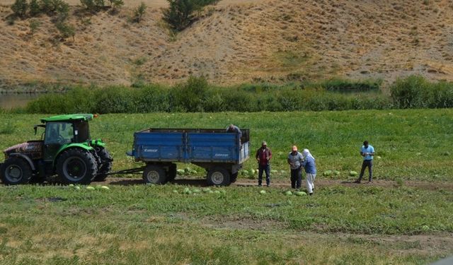 Çiftçiye yüzde 100 hibe desteği! Çiftçilerin 2 yıl sonraki görevi belli oldu