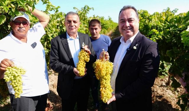 Manisa’da hasat zamanı! Bağbozumu Şenlikleri üzüm bağlarında başladı