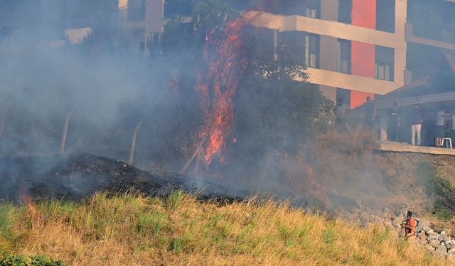 Manisa'da korkutan yangın! Alevler zeytinliğe yayıldı
