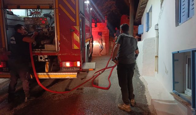 Son Dakika: Aydın'da zeytinlik alanda yangın çıktı!