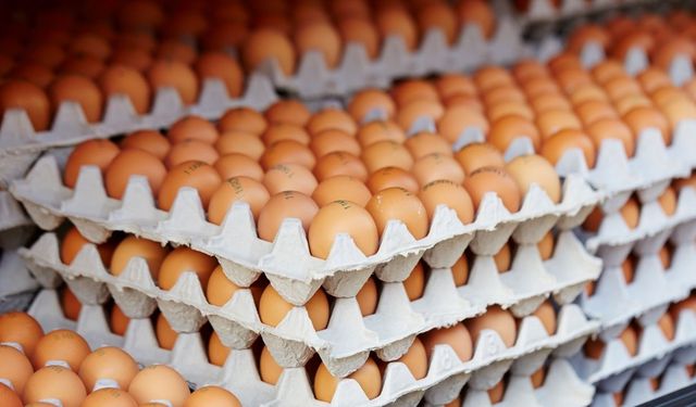 Türkiye yumurtada ihracat rekoru yolunda! Yıl sonu hedefi 550 milyon dolar