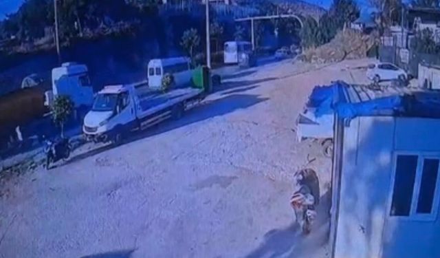Bodrum’da TIR ile motosiklet çarpıştı! 44 yaşındaki sürücü öldü