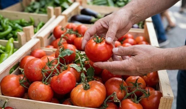 İyi domatesin sırrı ortaya çıktı! Rengine bakmak tek başına yetmiyor: Lezzetli olanı böyle anlayabilirsiniz