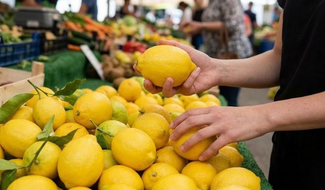 Pazarcılar bile bu yöntemi kullanıyor! Ne çürük, ne bozuk! Limon seçmek bu kadar kolaymış
