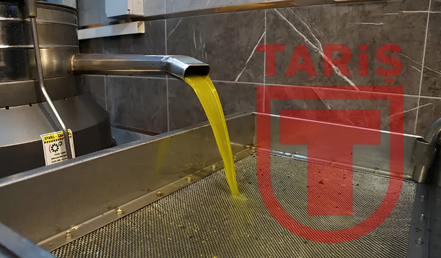 TARİŞ'te 57 milyon liralık avans soruşturması tamamlandı: Yöneticilere iddianame
