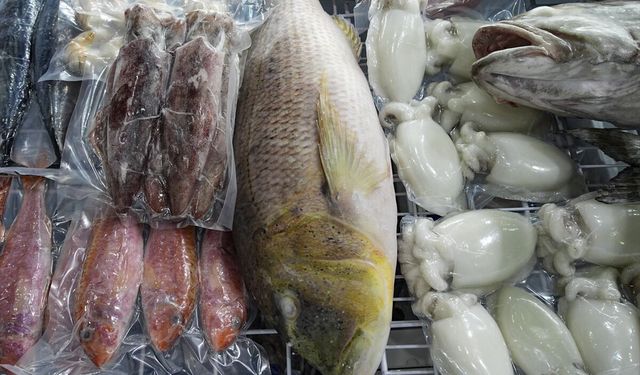 Türk balığı Dünya sofralarında! Yeni rekor geldi: İhracat 1,8 milyar dolara ulaştı