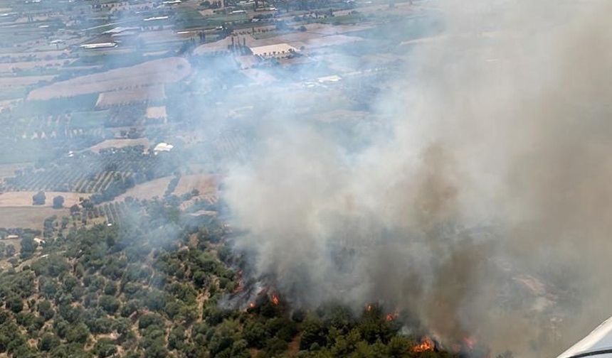 İzmir'de iki bölgede yangın