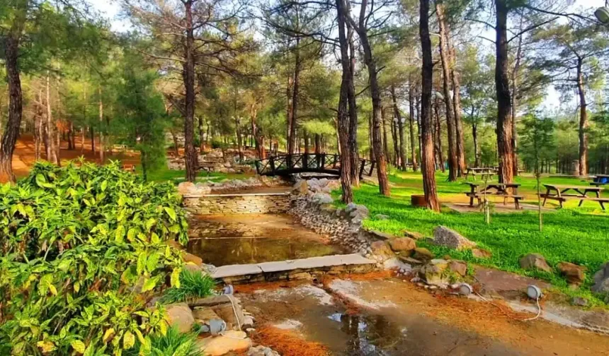 İzmir’in keyifli piknik noktaları: Doğa ve huzurun buluşma noktaları