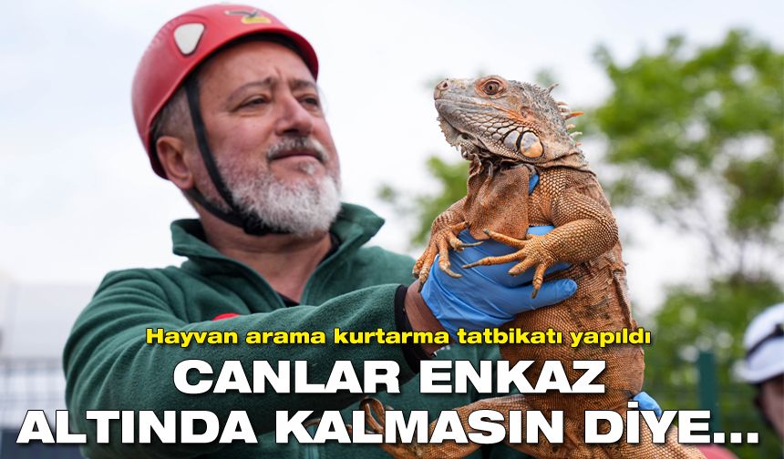 İzmir’de hayvan arama kurtarma tatbikatı yapıldı