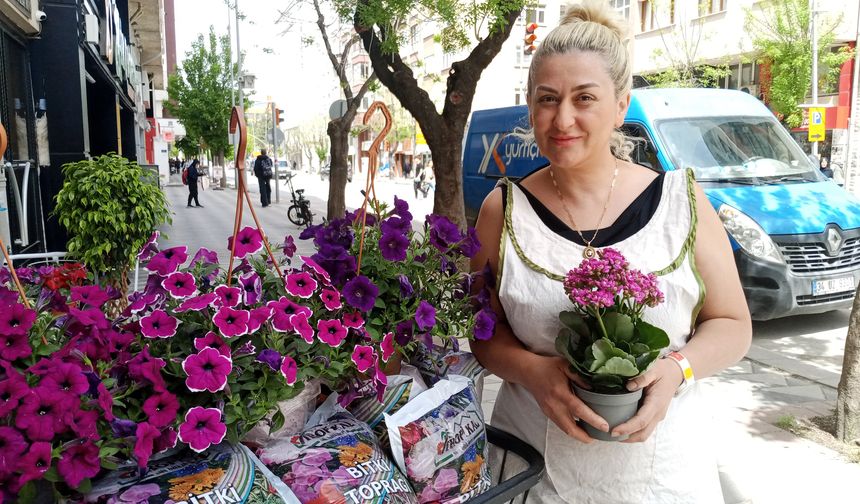 Havaların ısınmasıyla birlikte yazlık çiçek satışları başladı