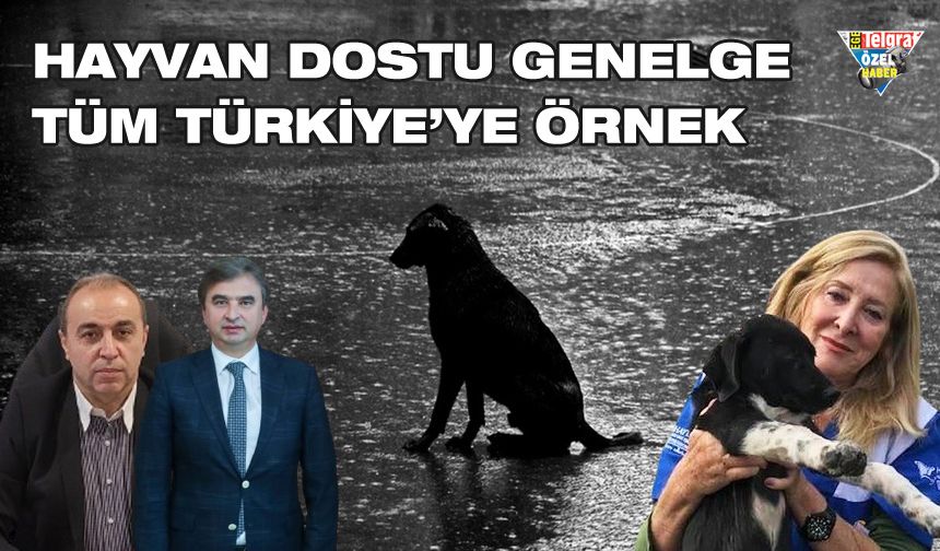 Hayvan dostu genelge tüm Türkiye’ye örnek