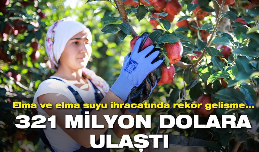 Elma ve elma suyu ihracatı 8 ayda 321 milyon doları buldu