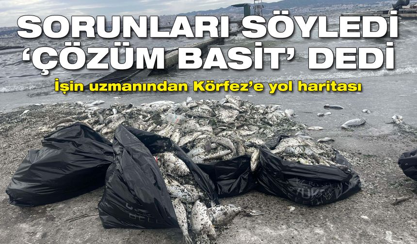 İşin uzmanından Körfez'e yol haritası: Sorunları söyledi, 'Çözüm basit' dedi