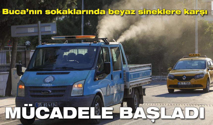 Buca’nın sokaklarında beyaz sineklere karşı mücadele başladı