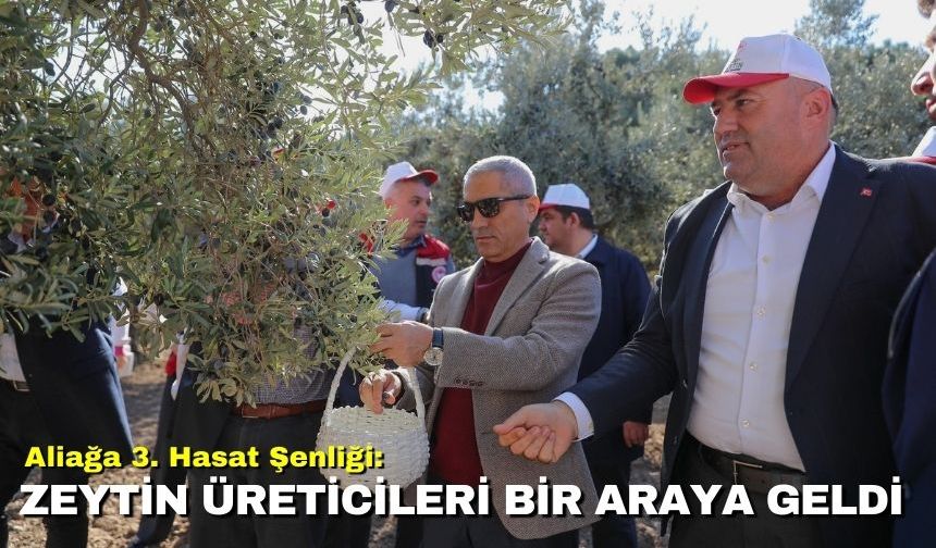 Aliağa 3. Hasat Şenliği: Zeytin üreticileri bir araya geldi