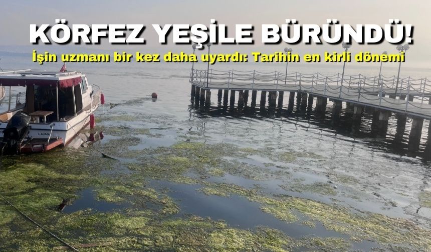 Körfez yeşile büründü! İşin uzmanı bir kez daha uyardı: Tarihin en kirli dönemi