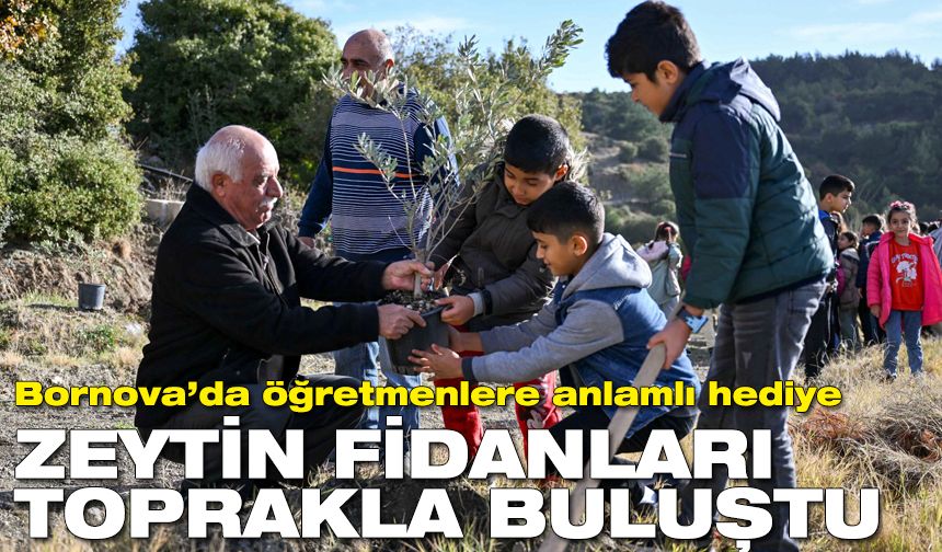 Bornova’da öğretmenlere anlamlı hediye: Zeytin fidanları toprakla buluştu