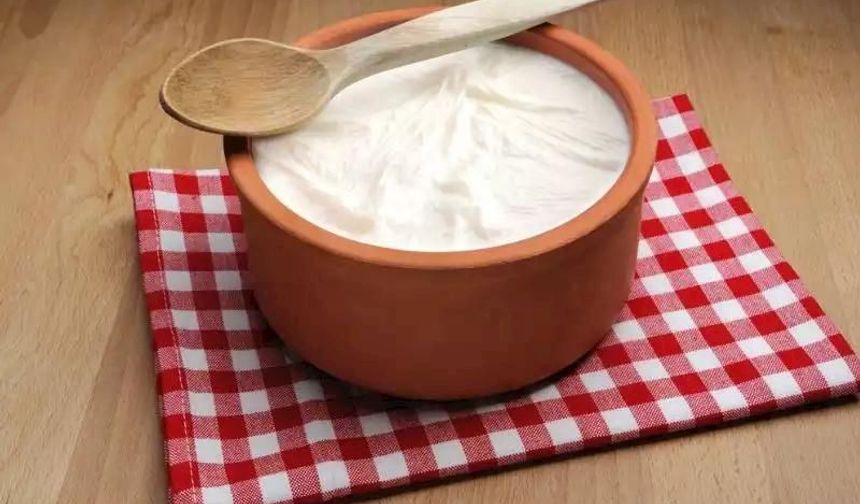 Kaya gibi sert yoğurt tarifi! Maya kullanmanıza gerek yok! Evde mayasız yoğurt nasıl yapılır? Adım adım yoğurt tarifi