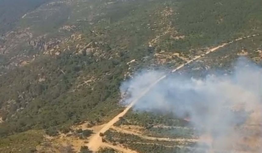 İzmir Foça'daki orman yangını kontrol altına alındı