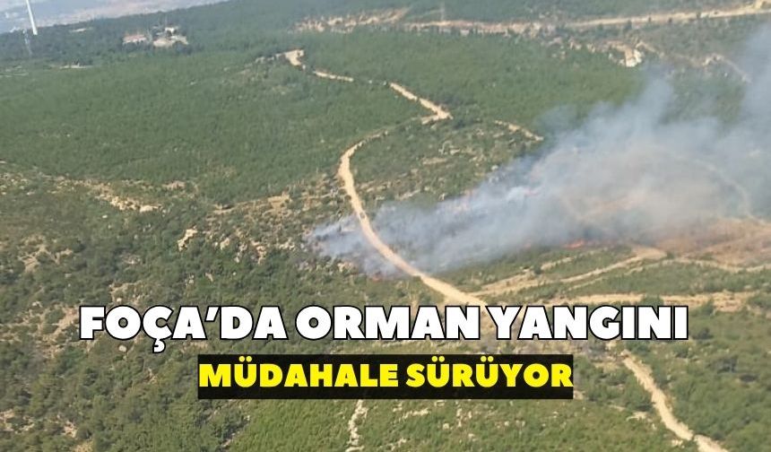 Foça'da orman yangını: Ekipler seferber oldu