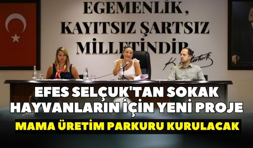 Efes Selçuk'tan sokak hayvanların için yeni proje: Mama üretim parkuru kurulacak