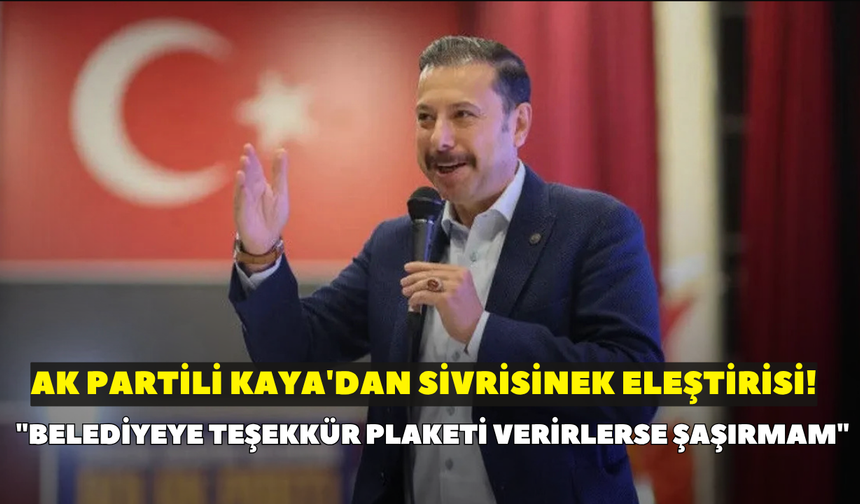 AK Partili Kaya'dan sivrisinek eleştirisi! "Sivrisinekler belediyeye teşekkür plaketi verirlerse şaşırmam"