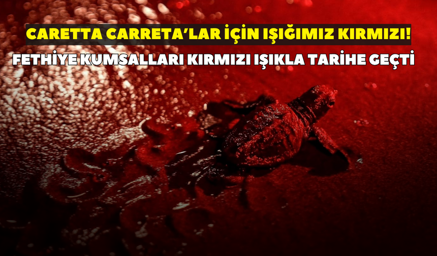 Caretta Carreta’lar için ışığımız kırmızı! Fethiye kumsalları kırmızı ışıkla tarihe geçti