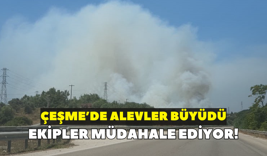 Çeşme'de alevler büyüdü! Ekipler müdahale ediyor