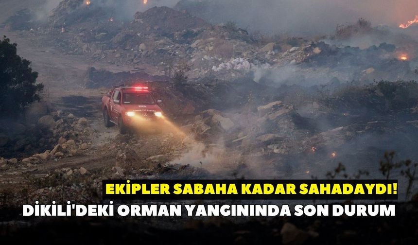 Dikili'deki orman yangınında son durum: Ekipler sabaha kadar sahadaydı!