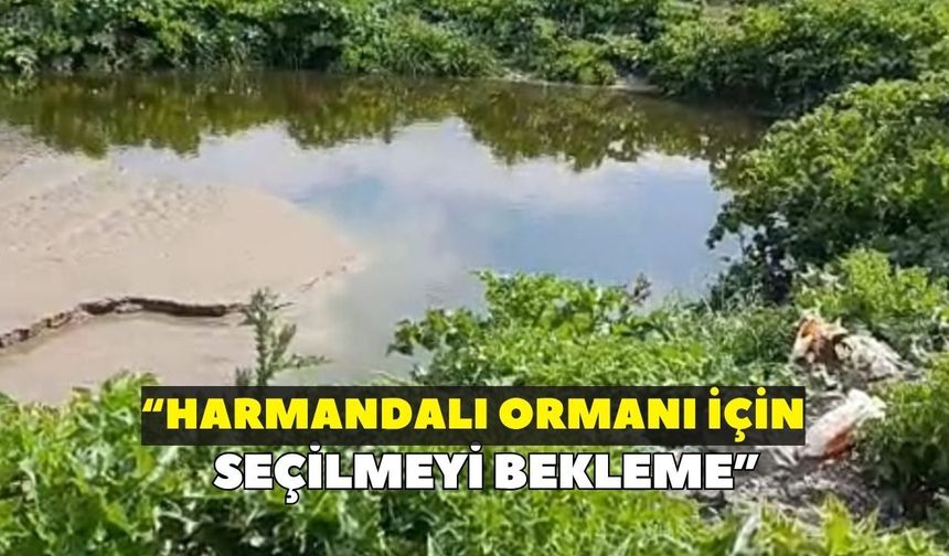 “Harmandalı Ormanı için seçilmeyi bekleme”