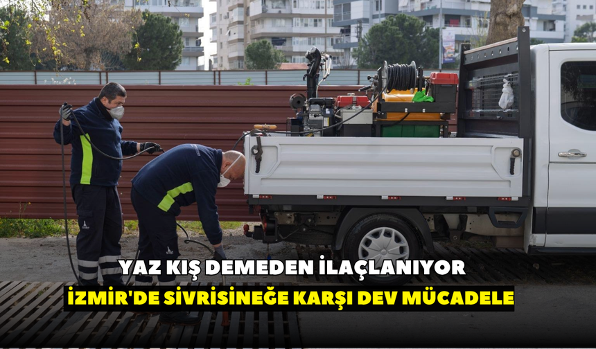 Yaz kış demeden ilaçlanıyor: İzmir'de sivrisineğe karşı dev mücadele