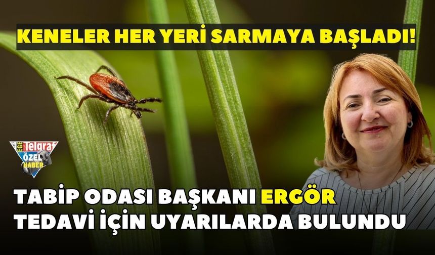 Keneler her yeri sarmaya başladı! Tabip Odası Başkanı Ergör tedavi için uyarılarda bulundu