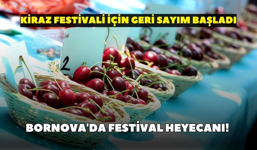 Bornova'da festival heyecanı! Kiraz Festivali için geri sayım başladı