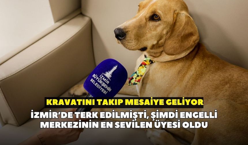 İzmir’de terk edilmişti, şimdi engelli merkezinin en sevilen üyesi oldu: Kravatını takıp mesaiye geliyor