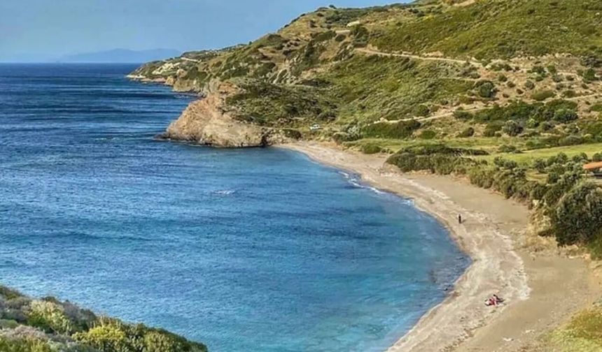 Ne Çeşme ne Foça! İzmir’de taş yok kaya yok: Sahili baştan sona kumla kaplı, üstelik ücretsiz