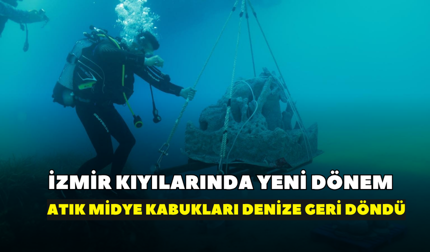 İzmir kıyılarında yeni dönem: Atık midye kabukları denize geri döndü
