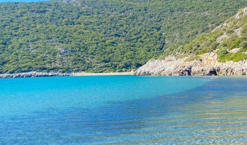 Kalabalığın ulaşamadığı İzmir koyu! Suyun altında doğal kaynak kaynıyor, tekneler buraya demir atıyor